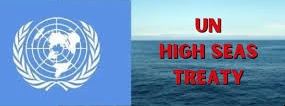 high seas treaty